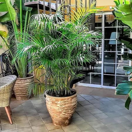 Σπίτι διακοπών Top Duplex Penthouse The Best Loca Costa Adeje (Tenerife)